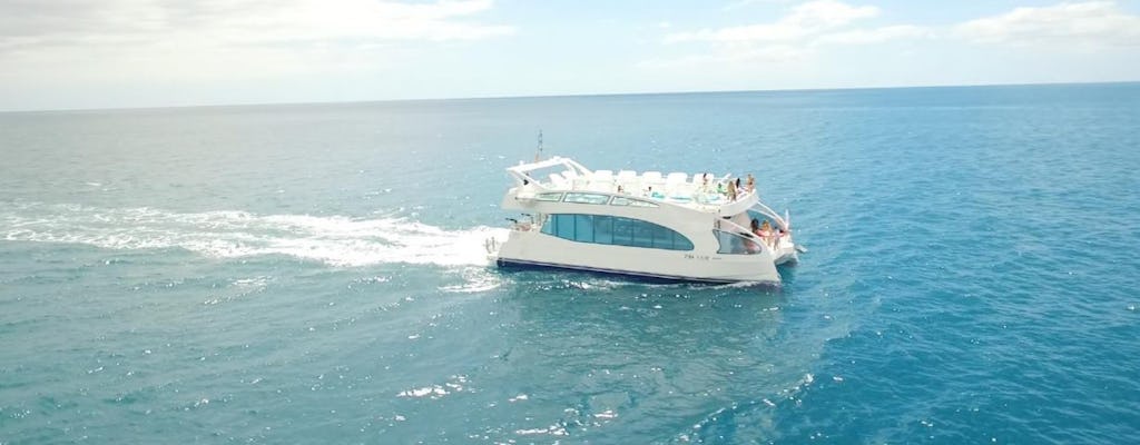 Luxury catamaran trip in southwest Gran Canaria