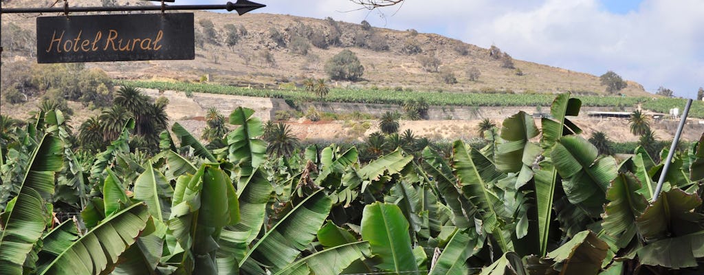 Excursie noord Gran Canaria: Bezoek wijngaarden, koffieplantages en het plaatsje Villa de Moya