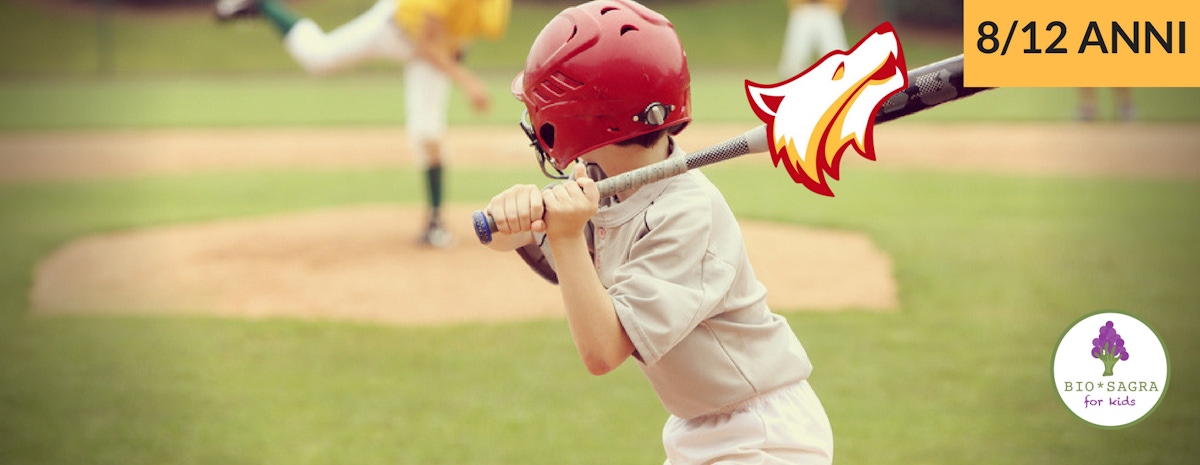 Laboratorio Baseball per bambini (812 anni) musement