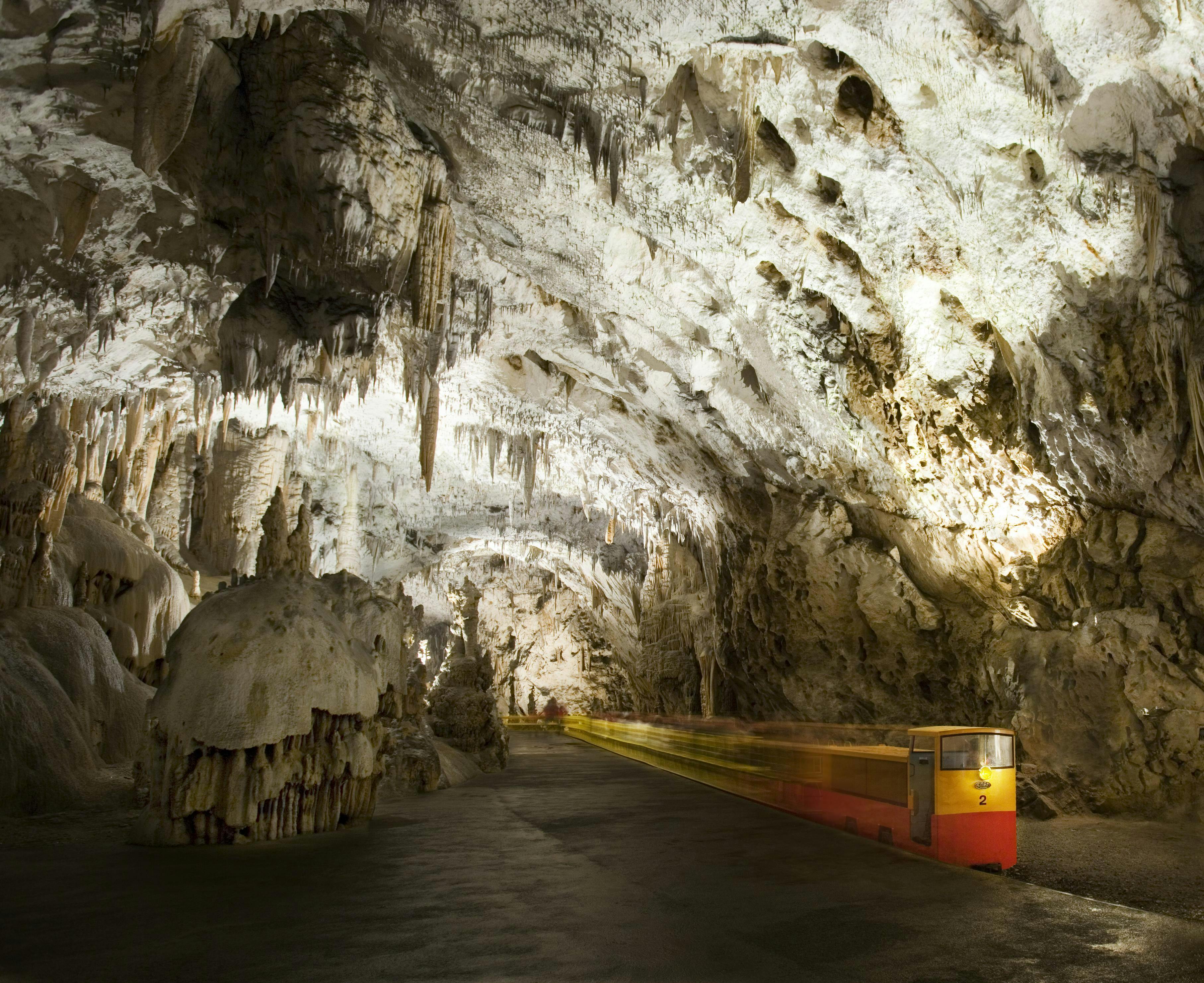 Półdniowa wycieczka do jaskini Postojna i zamku Predjama z Lublany