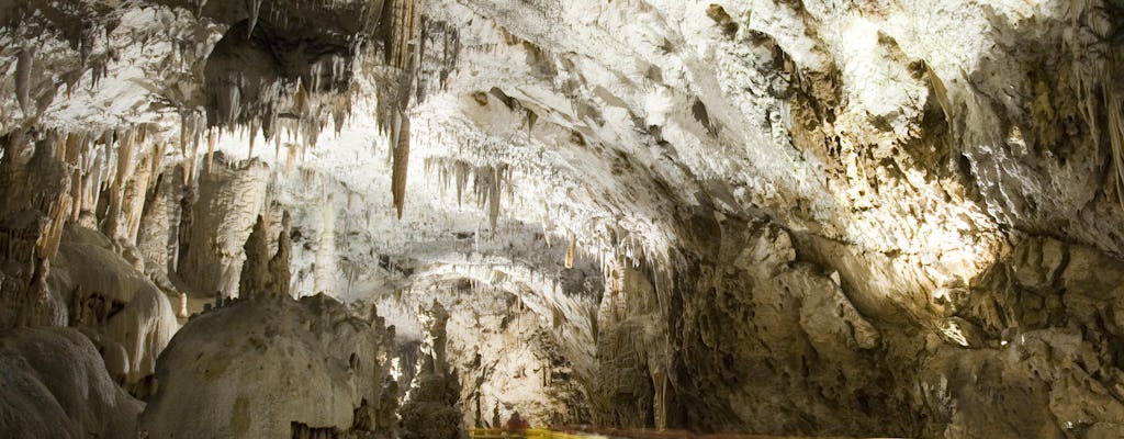 Visite d'une demi-journée de la grotte de Postojna et du château de Predjama au départ de Ljubljana