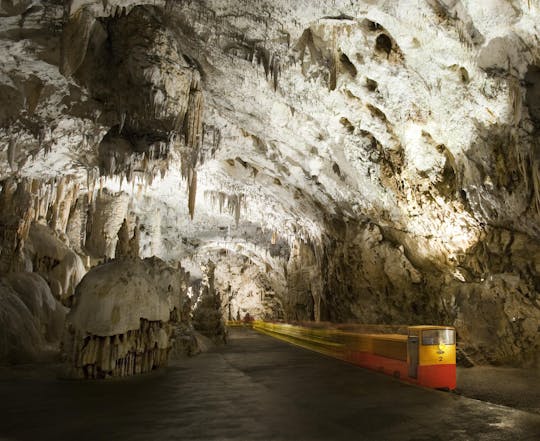 Excursão de meio dia à caverna de Postojna e ao castelo de Predjama saindo de Ljubljana