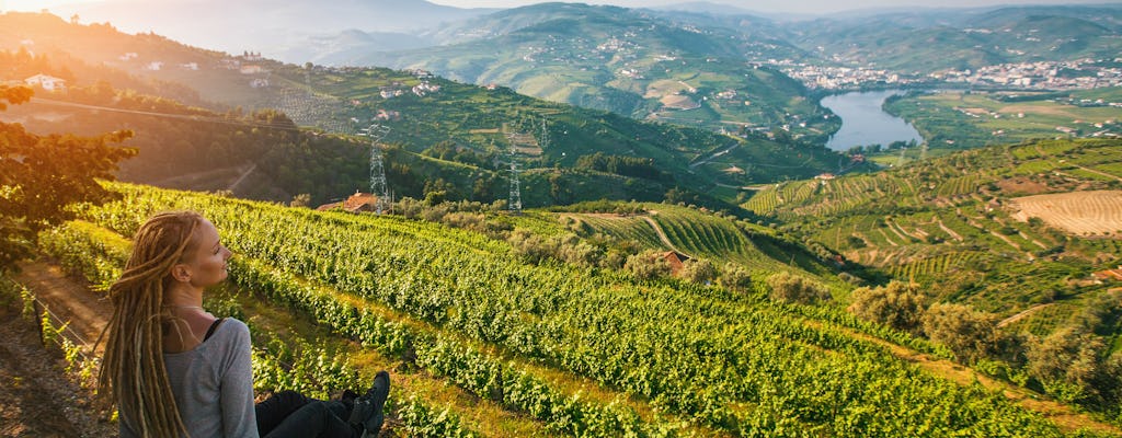 Full-day Douro valley wine and food tour from Porto