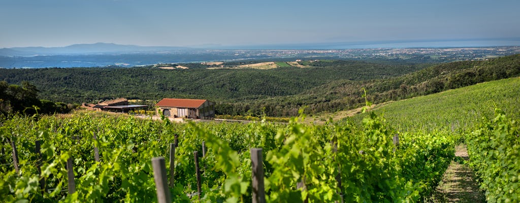 Degustação de vinhos biodinâmicos de Duemani na costa da Toscana