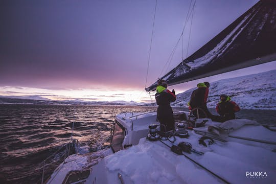 Arctic sail safari