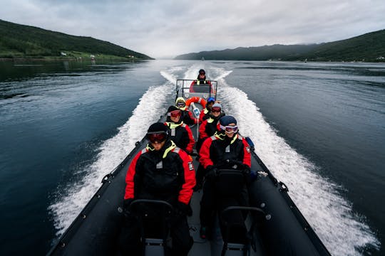 Excursión por el fiordo en bote RIB