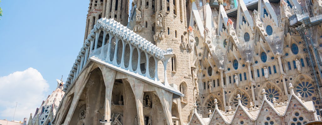 Tour della Sagrada Familia e delle opere di Gaudì con shopping