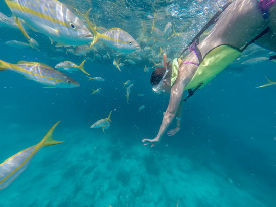 Key West morning reef snorkel