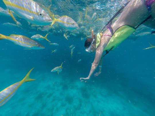Snorkel della barriera corallina di Key West