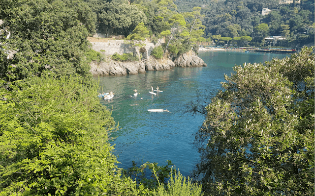 Stand Up Paddle Erfahrung in Portofino