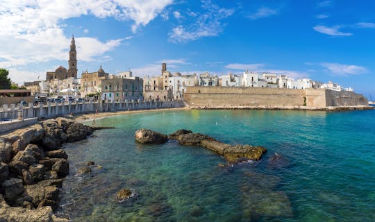 Tour della città in risciò di Bari