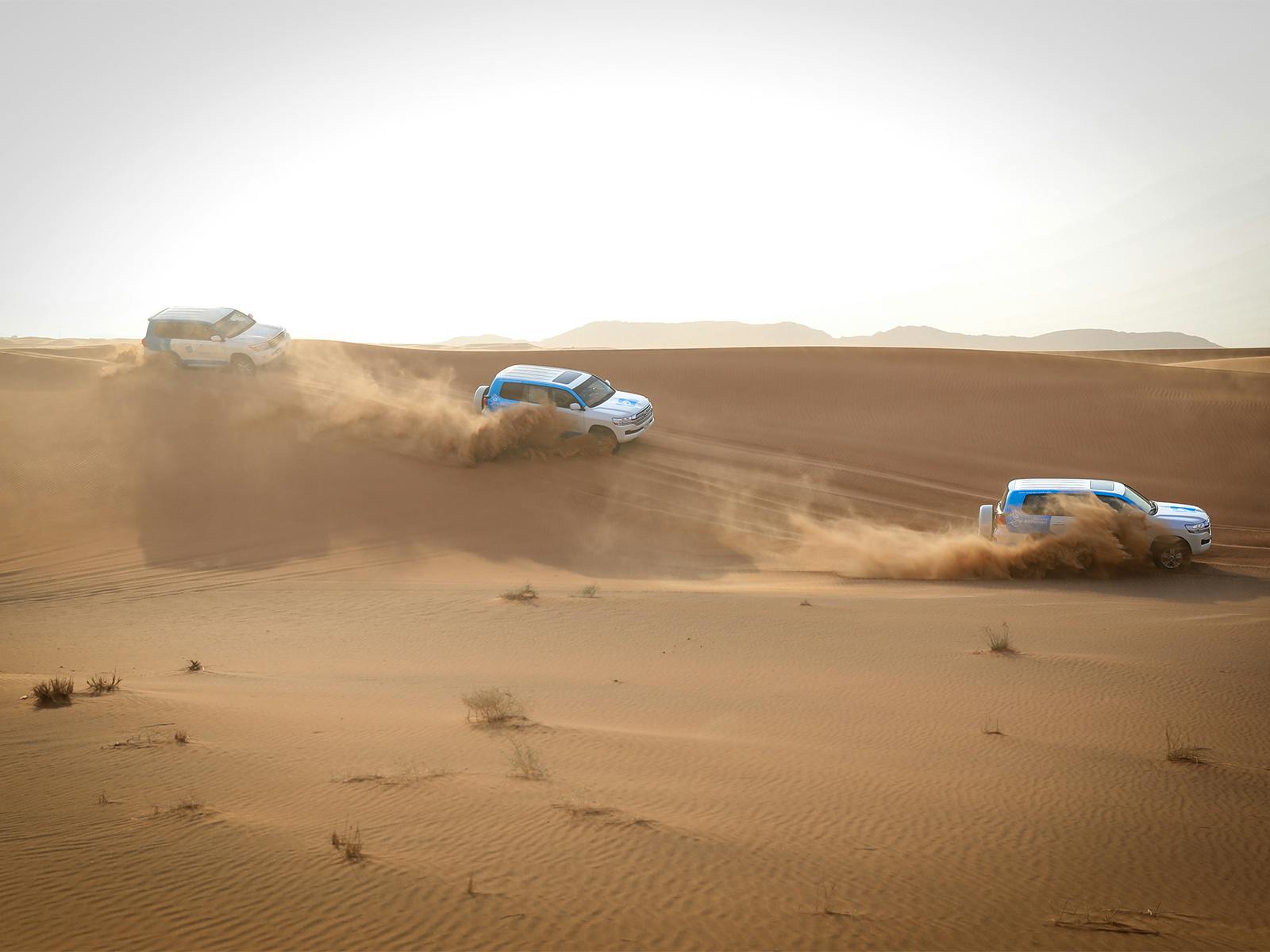 Safari mattutino nel deserto di Abu Dhabi con giro in cammello