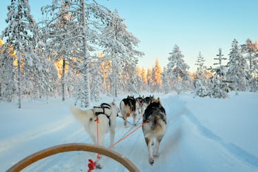 Pêche blanche et expérience husky en Laponie