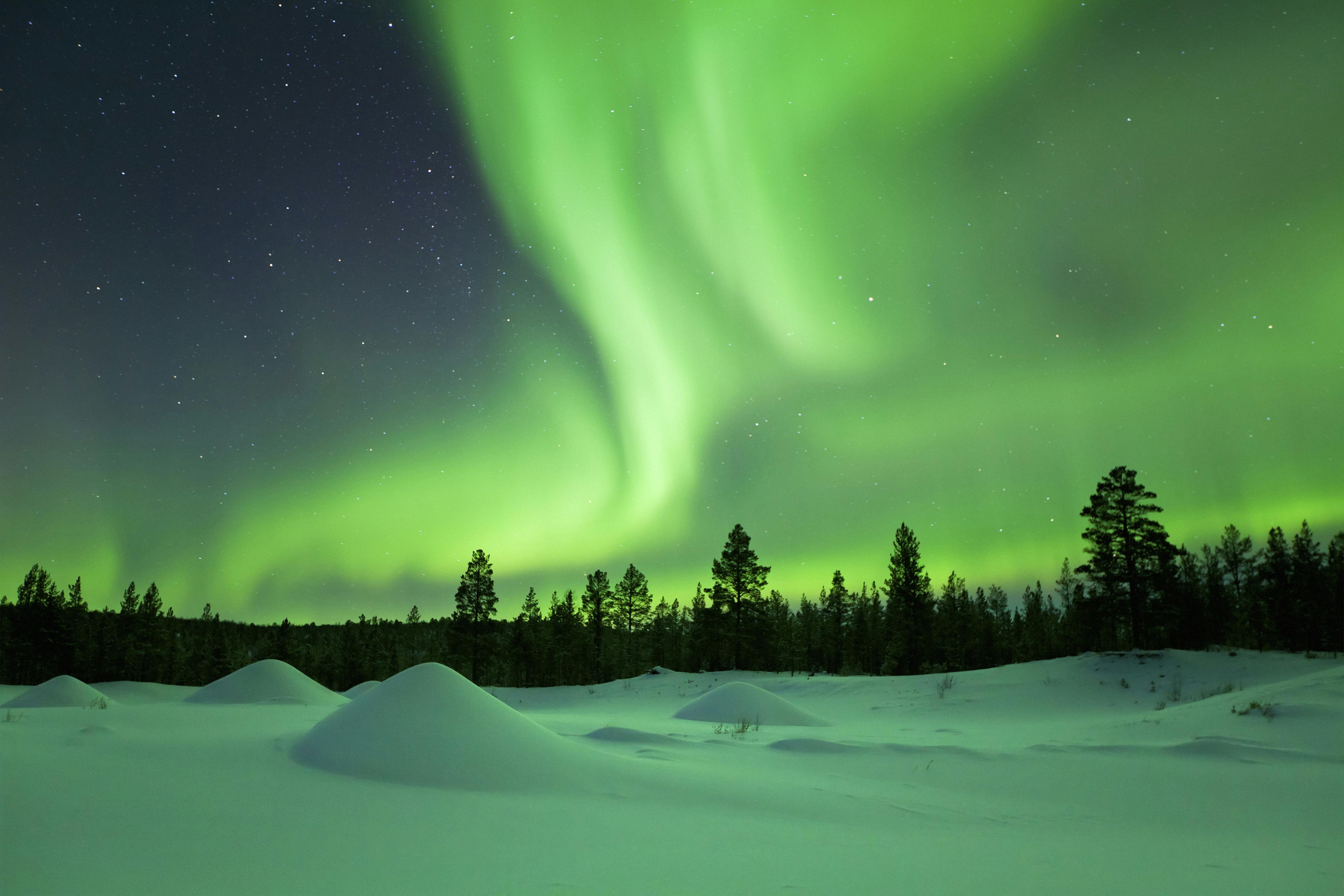 Noche de renos y auroras boreales