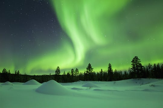 Noche de renos y auroras boreales