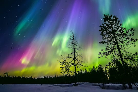 Experiência de sauna à beira do lago com aurora boreal