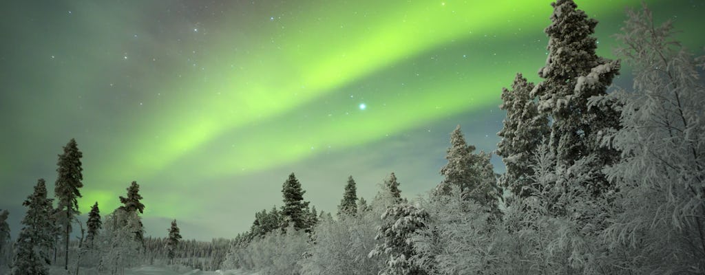 Tour fotografico di aurore boreali con gatto delle nevi