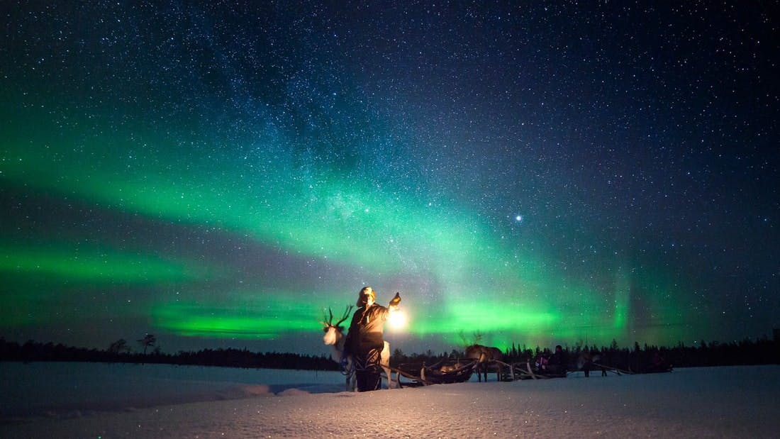 Experiência de renas Sami e luzes do norte