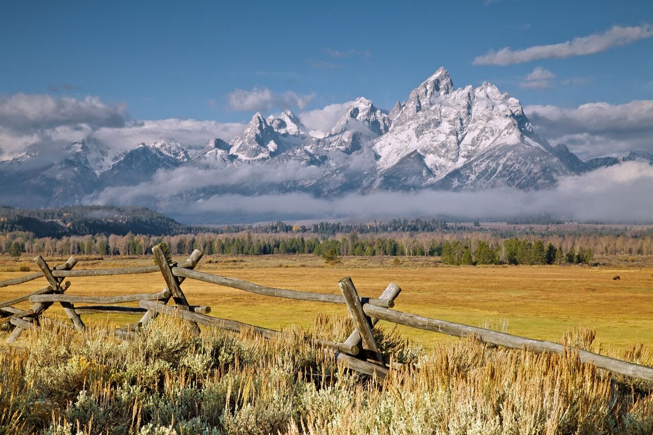 Private tours of yellowstone from jackson hole