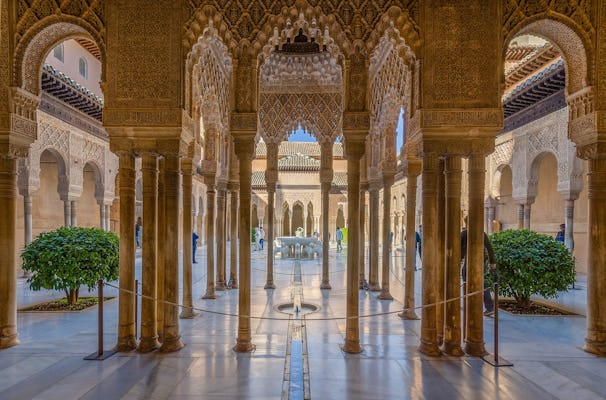 Alhambra tickets and guided tour from Marbella