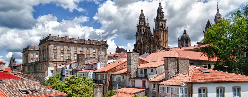 Santiago de Compostela private tour from Porto