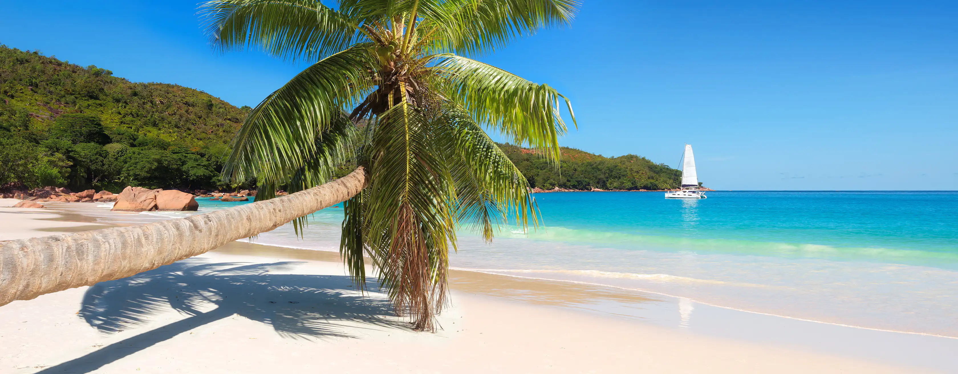Things to do in Montego Bay