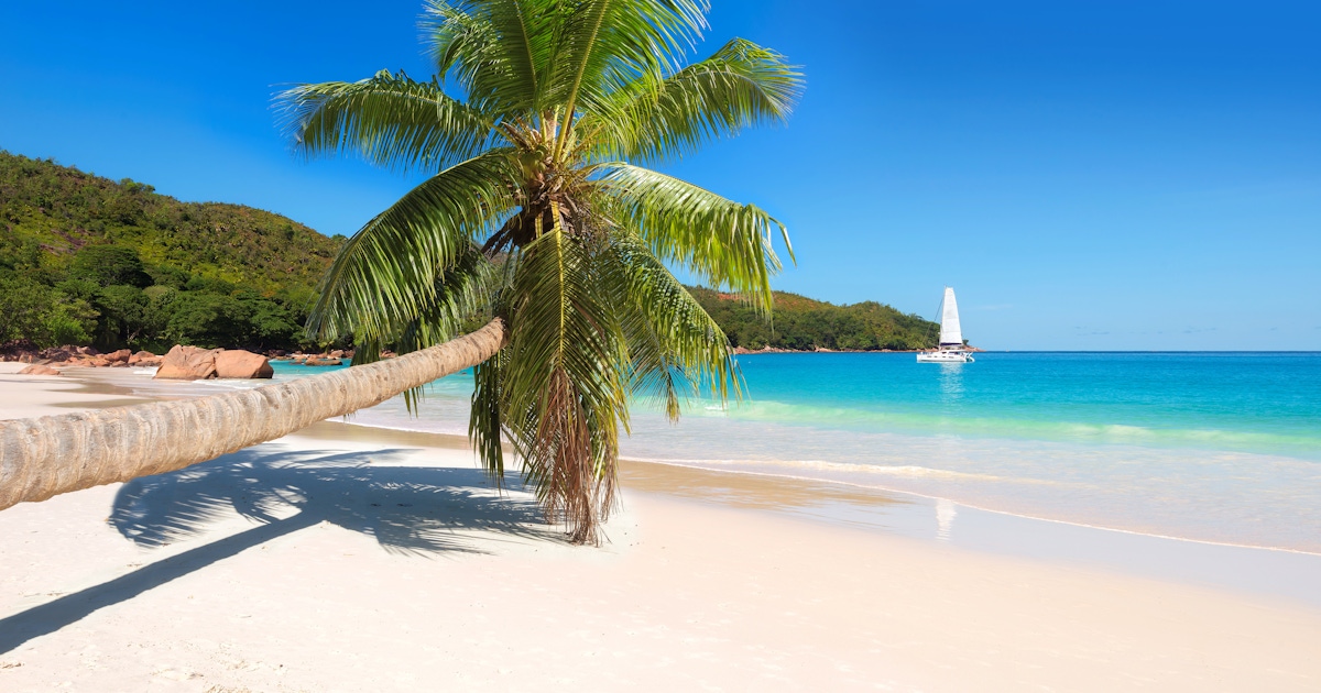 Things to do in Montego Bay : Museums and attractions Things to do in Montego Bay : Museums and attractions