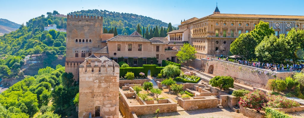 Alhambra and Albaicin private half-day tour with an official guide