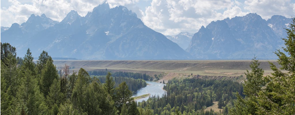 Safári ao pôr do sol da vida selvagem no inverno e na primavera saindo de Jackson Hole