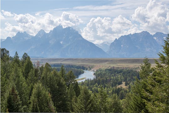 Winter and spring wildlife sunset safari from Jackson Hole