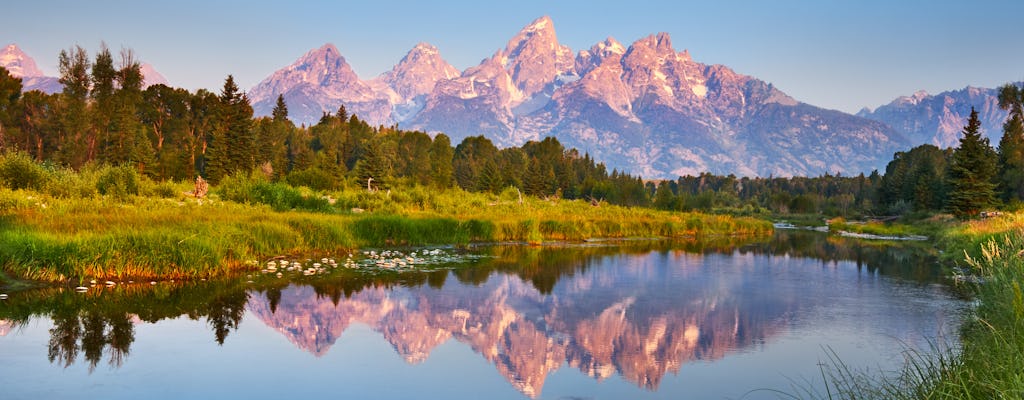 Summer and fall wildlife sunset safari from Jackson Hole