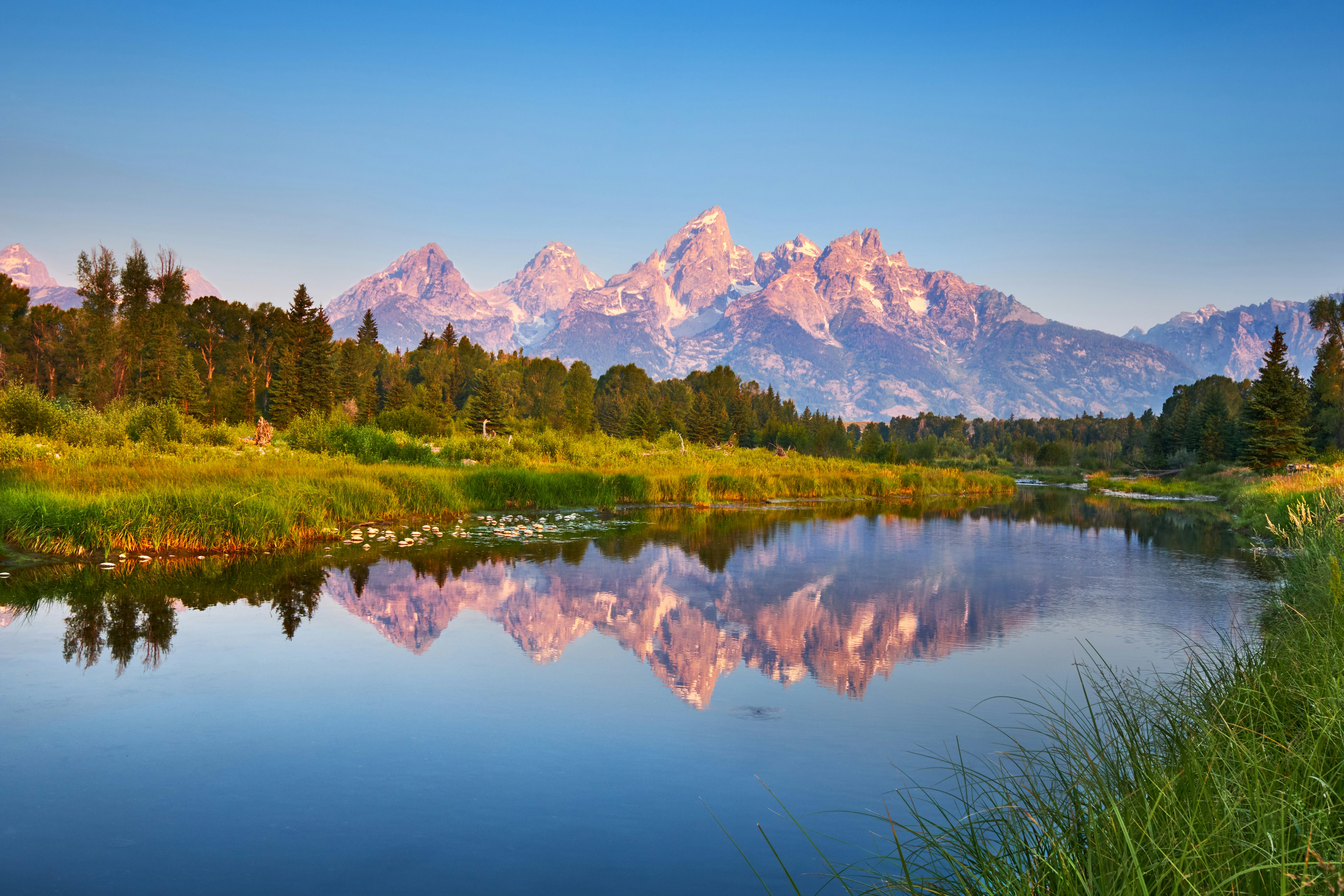 Private tour Yellowstone Upper and Lower Loops from Jackson Hole | musement