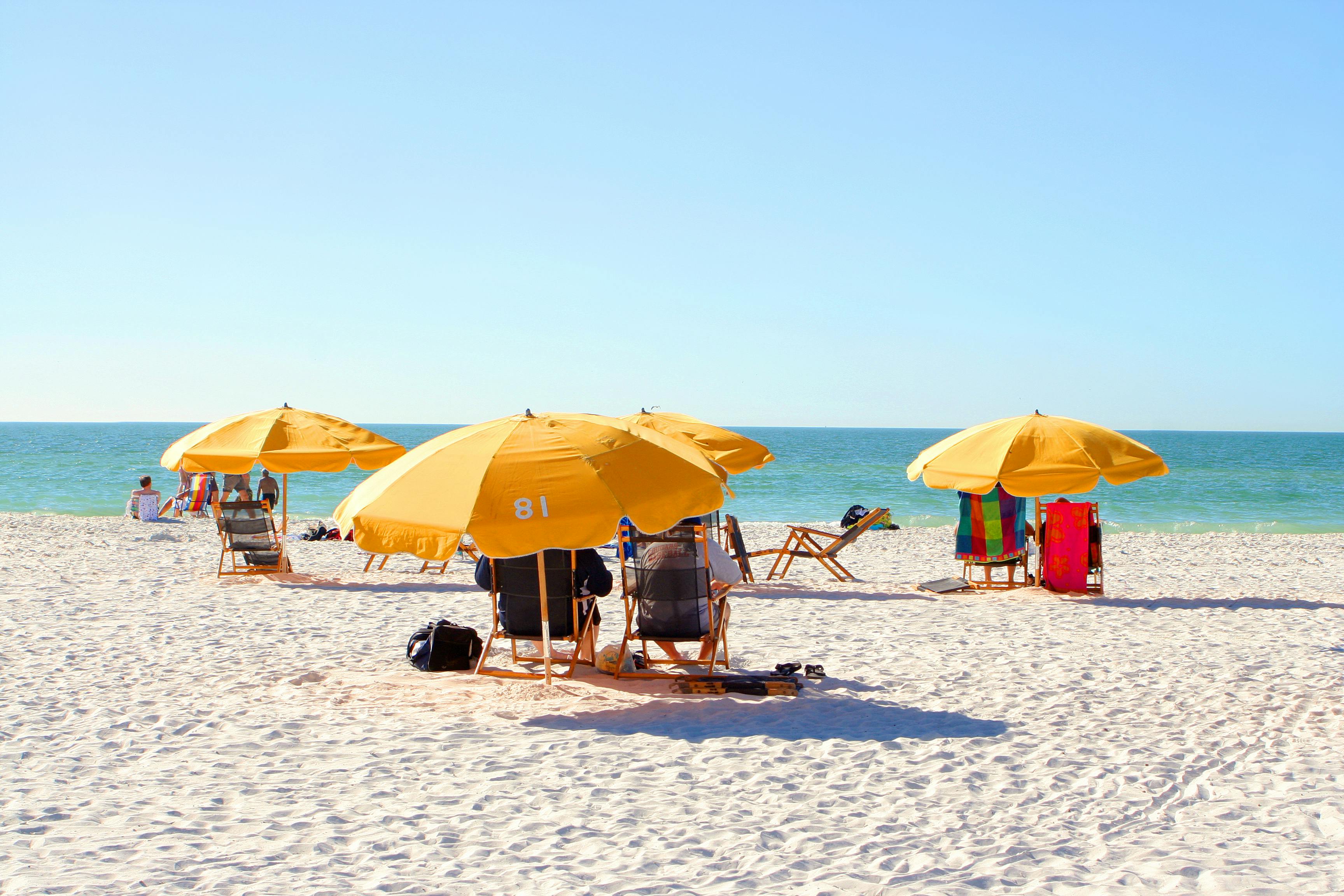Clearwater Beach roundtrip transportation from Orlando with lunch Musement