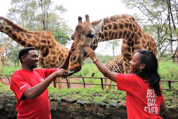 Giraffes and Elephants tour in Nairobi