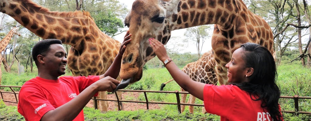 Giraffes and Elephants tour in Nairobi