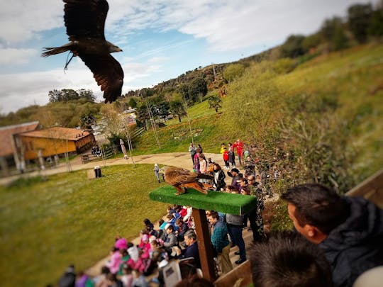 Cabarceno Natural Park tickets and guided tour from Santander