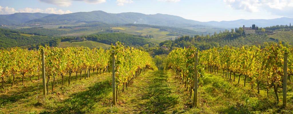 Wino Chianti z winem na jednodniową wycieczkę prywatnym vanem ze Sieny