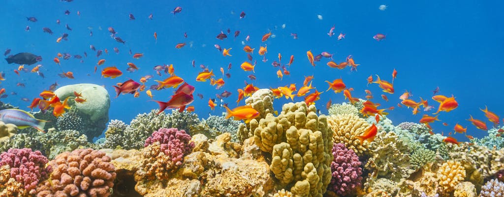 Marsa Alam - Quseir