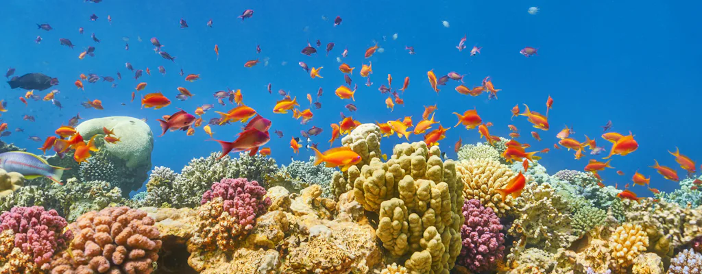 Experiences in Marsa Alam - Quseir