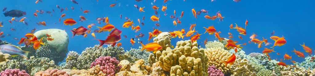 Things to do in Marsa Alam - Quseir