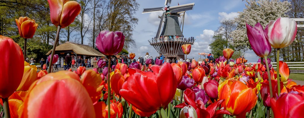 Excursión de medio día a los campo de flores y al Keukenhof desde Ámsterdam