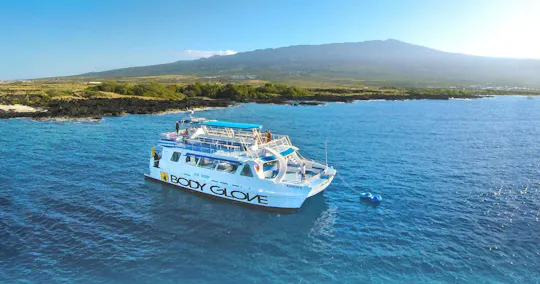 Deluxe snorkel and dolphin watch