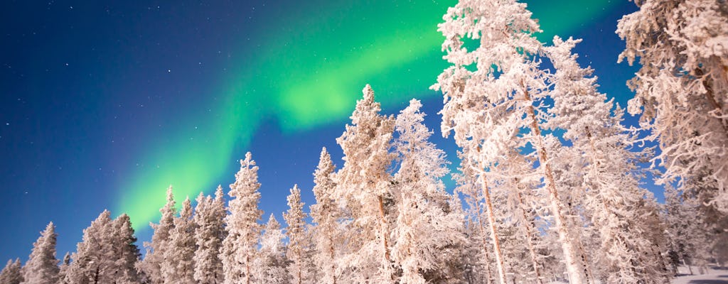 Caça à aurora boreal com churrasco da Lapônia