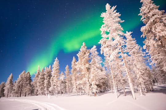 Caçando a aurora boreal com churrasco da Lapônia