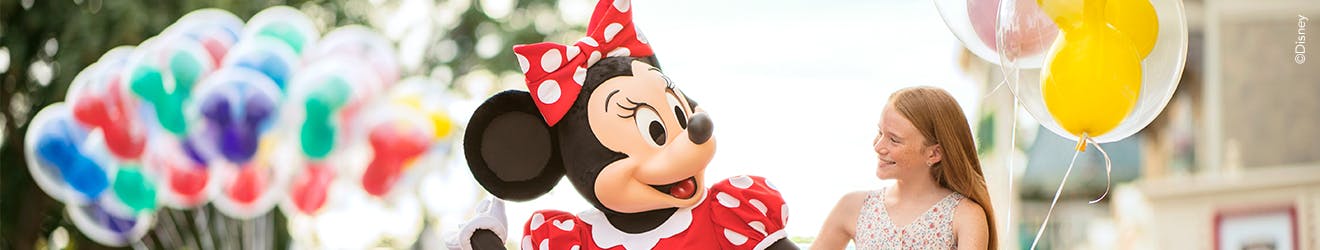 Walt Disney World Resort