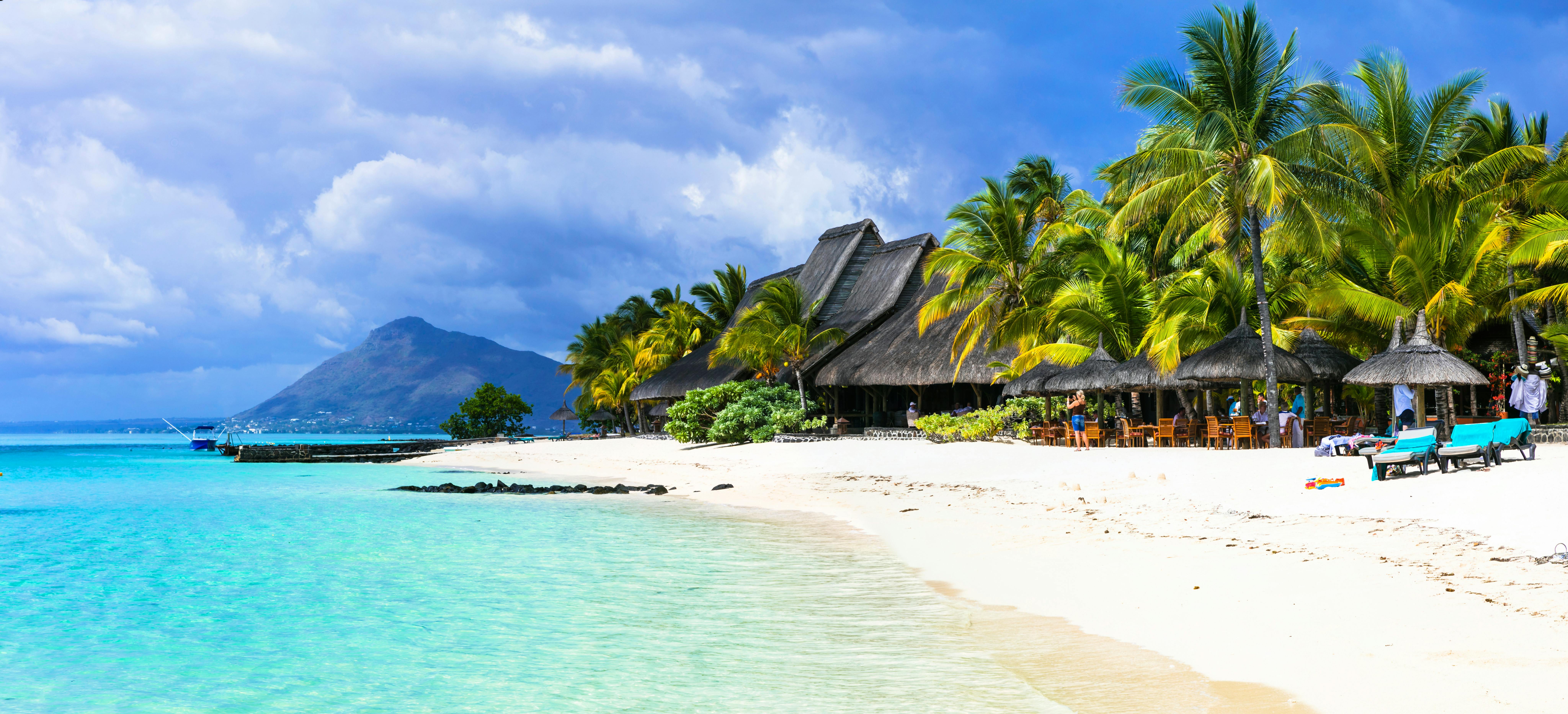mauritius tourism form