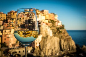 Wine Tours and Tastings in Genoa