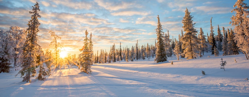 Erlebnisse in Saariselkä