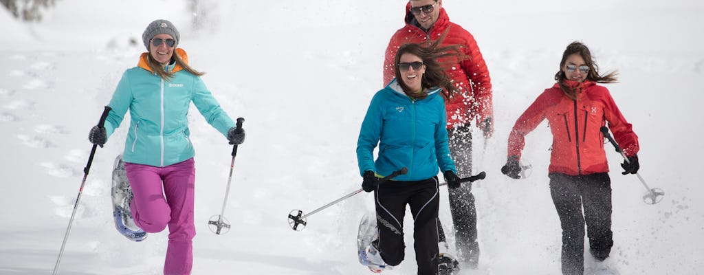 Ingressos para excursão de neve em Anterselva