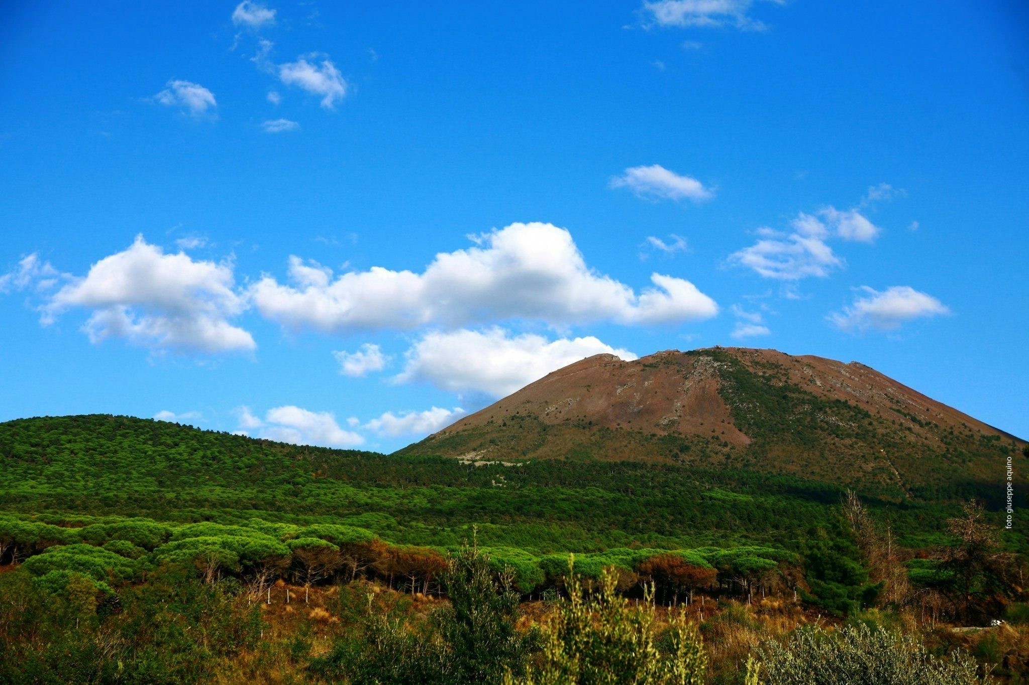 Mt Vesuvius guided tours and activities musement